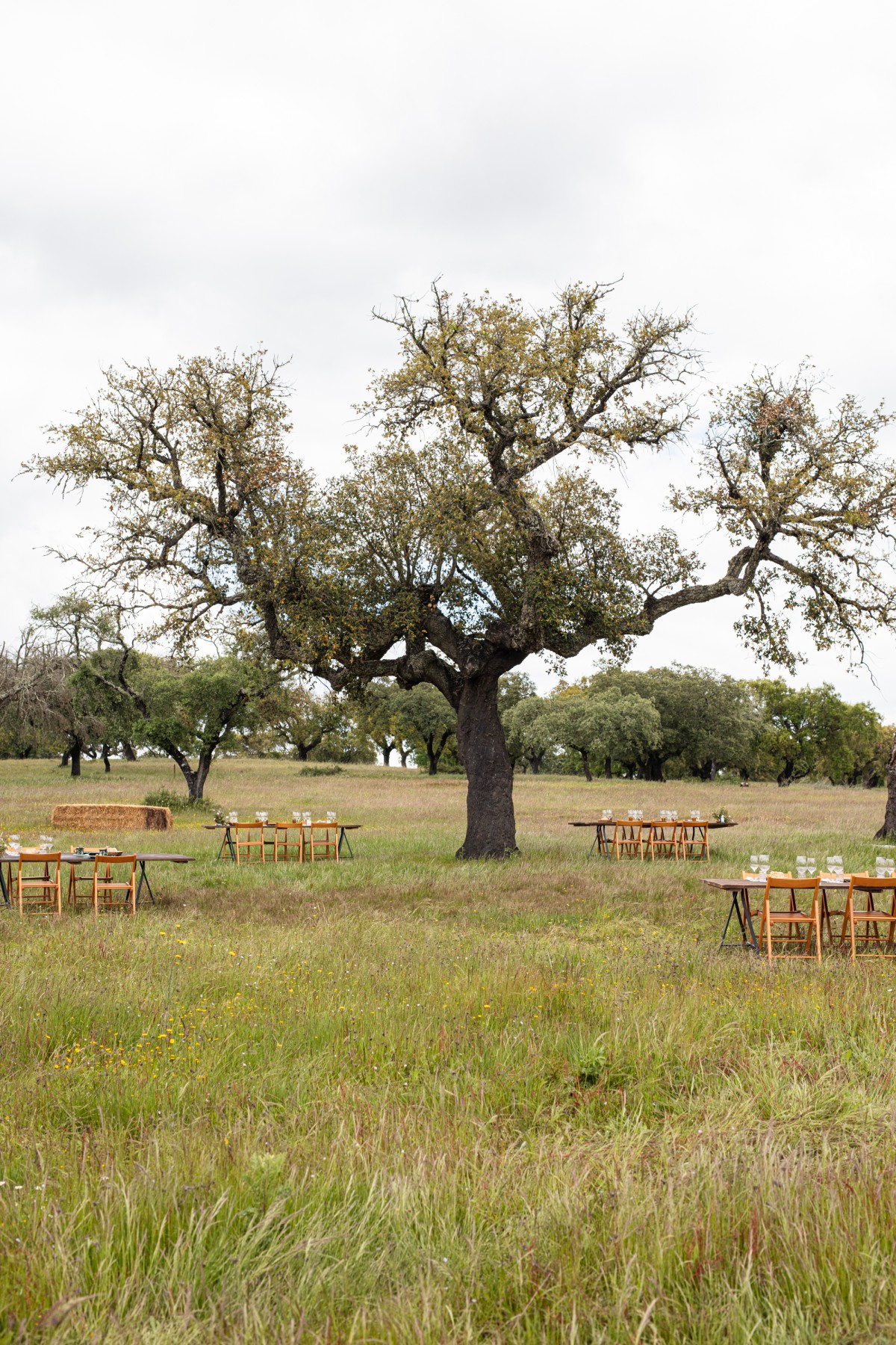 Projecto Matéria – Alentejo